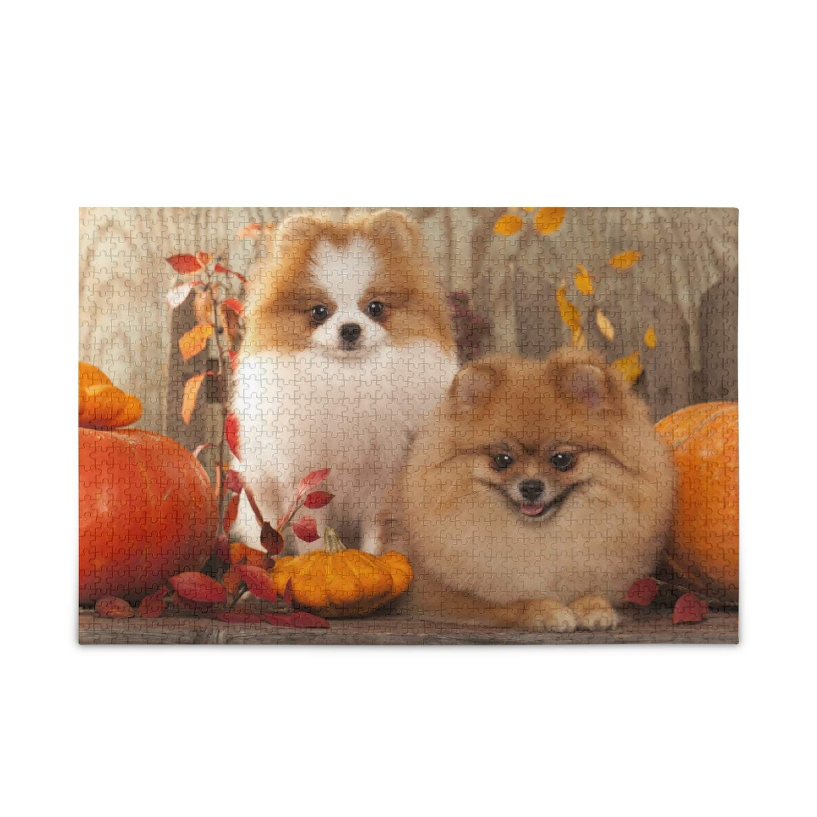 500-Piece Jigsaw Puzzle for Adults - Cute Pomeranian Dog with Autumn Pumpkin Scene | Fun Family Activity, Stress Relief & Home Decor