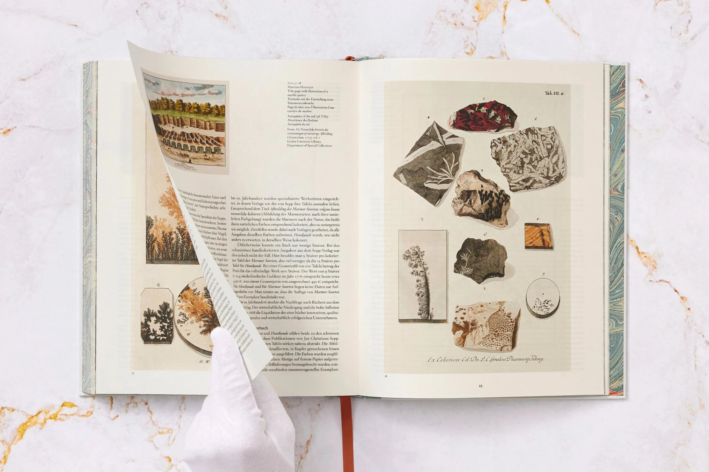 Jan Christiaan Sepp The Book of Marble | Antique Natural History Book | Rare Collectible Edition for Home Decor & Library Display