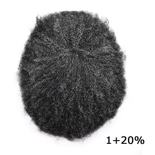 #120 #1 JET BLACK WITH 20% SYNTHETIC GREY