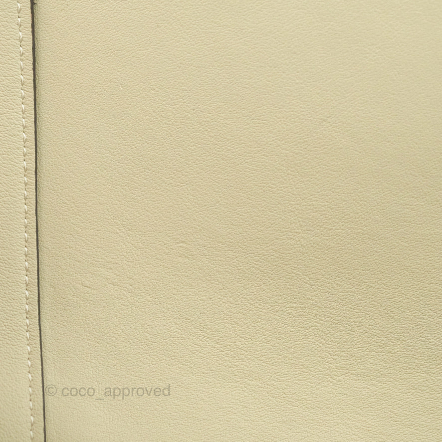 Celine Frame Bag Light Green - Stylish Designer Handbag for Women | Perfect for Work, Travel & Everyday Use