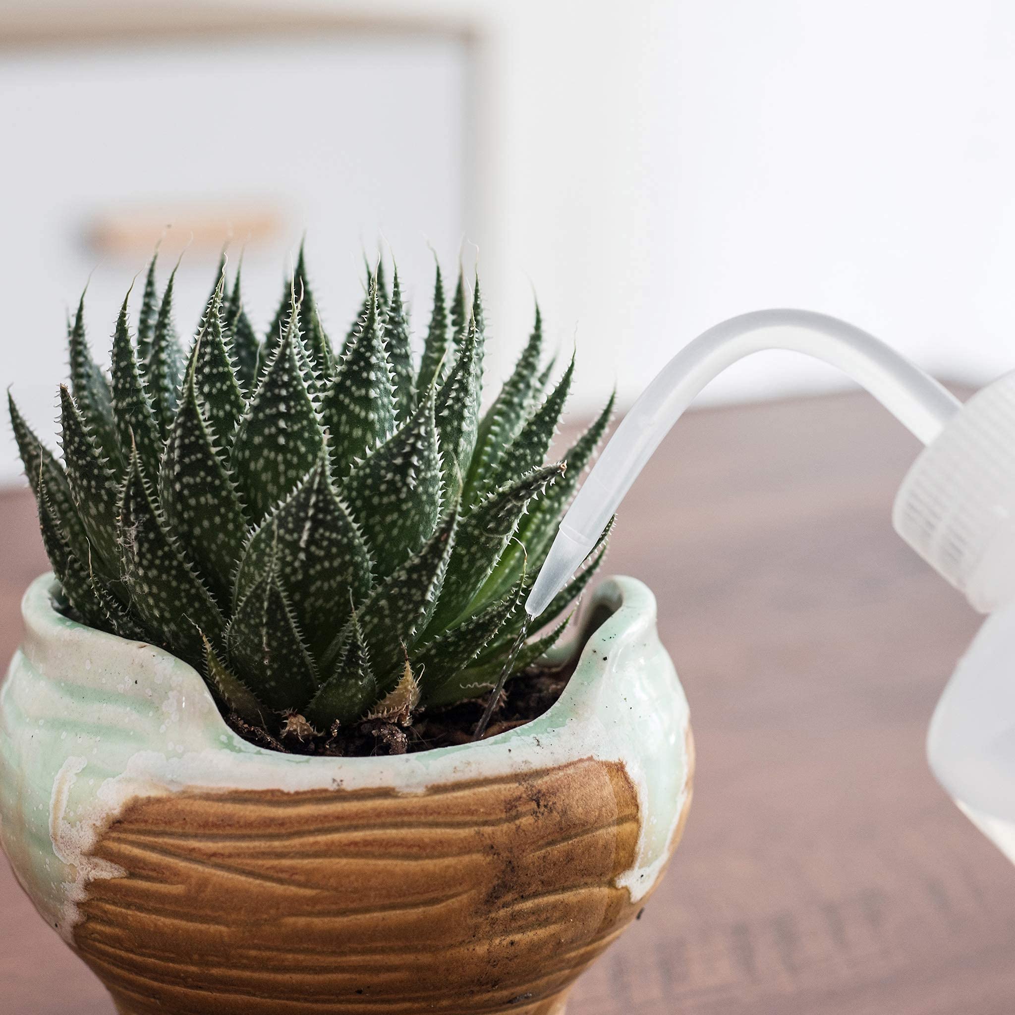 ORIMERC 30 Feet Self Watering Wick Cord with 500ML Bottle - Automatic Plant Watering System for Vacation, Potted Plants, Bonsai, Terrarium, Orchids, Seedling & African Violets - Perfect for Indoor Gardening & Succulent Care