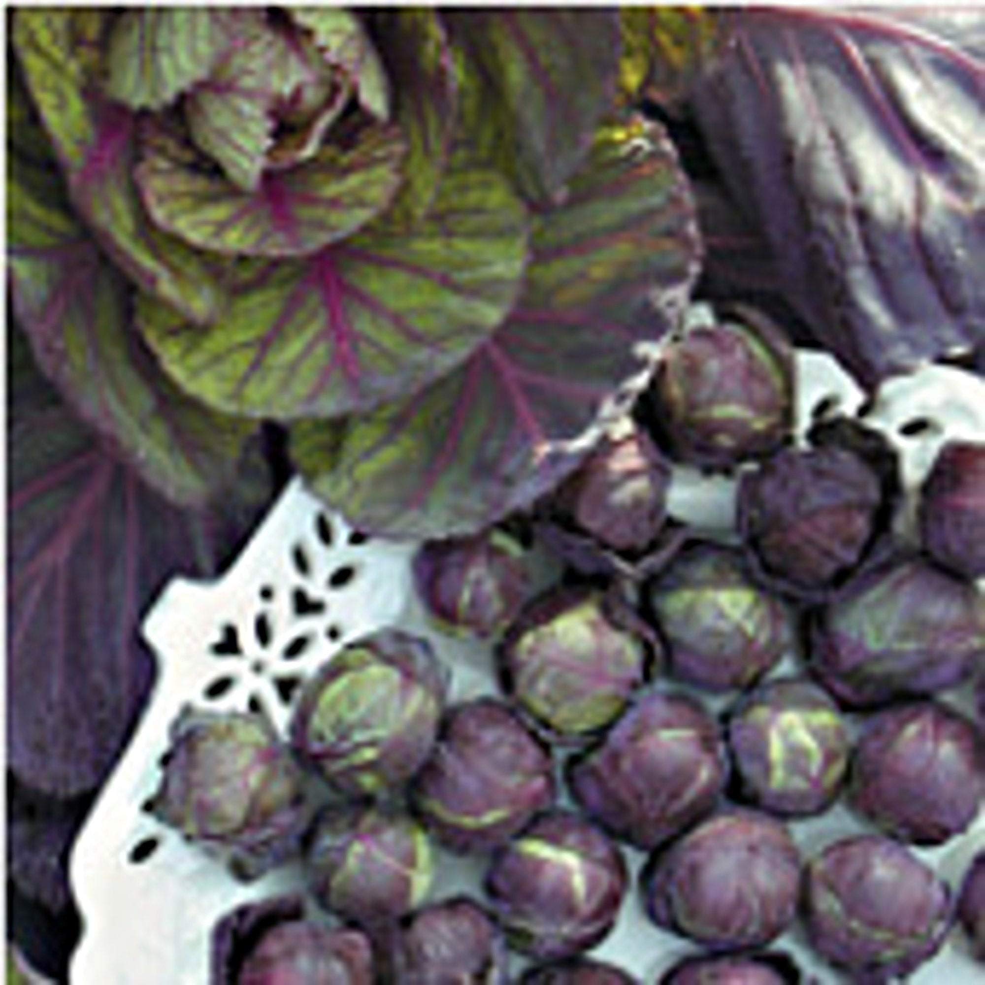 Rubine Brussels Sprouts Seeds - 25+ Non-GMO Heirloom Seeds for Home Vegetable Gardening | Fresh, Organic & Easy to Grow | Perfect for Raised Beds, Containers & Backyard Gardens