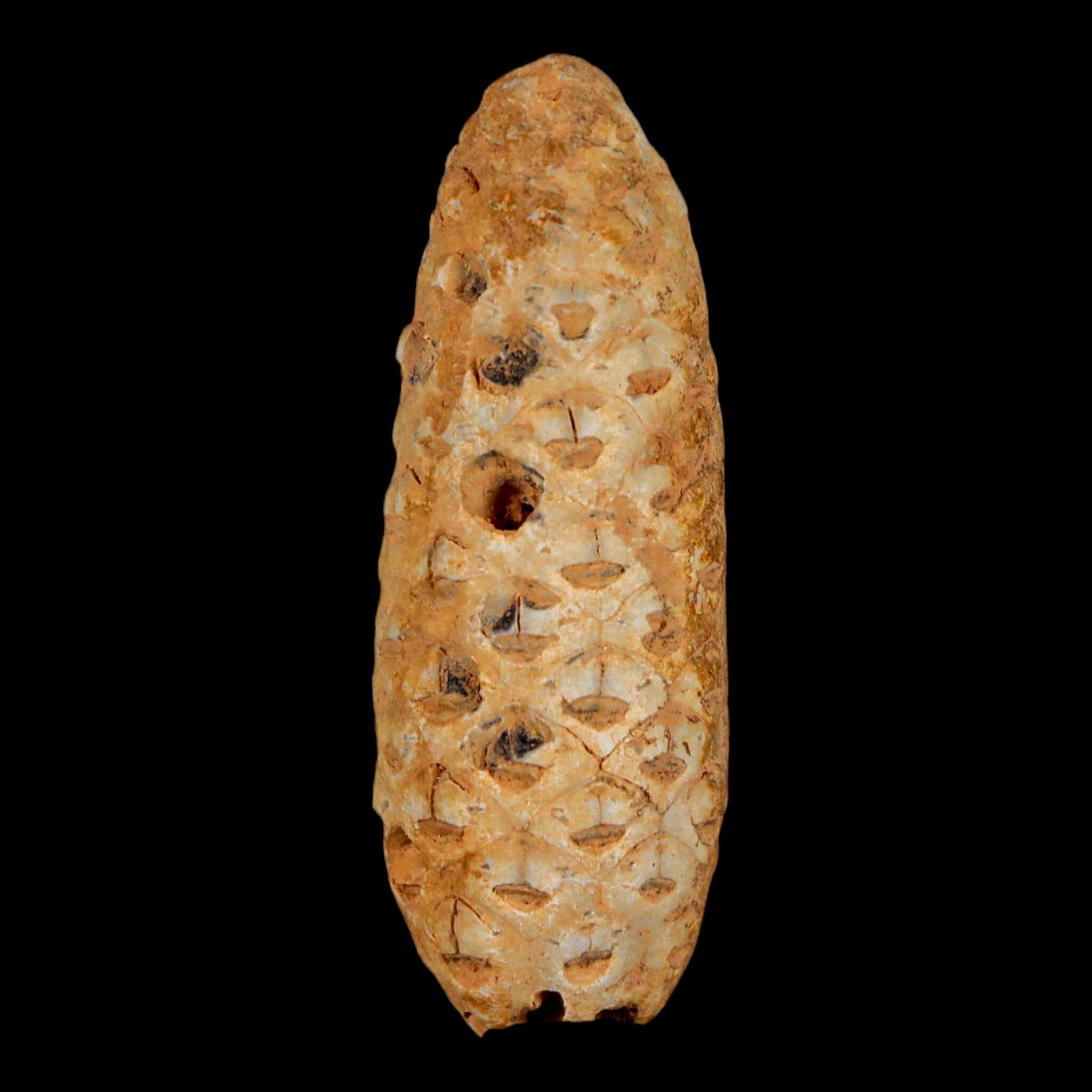 XL 2.2