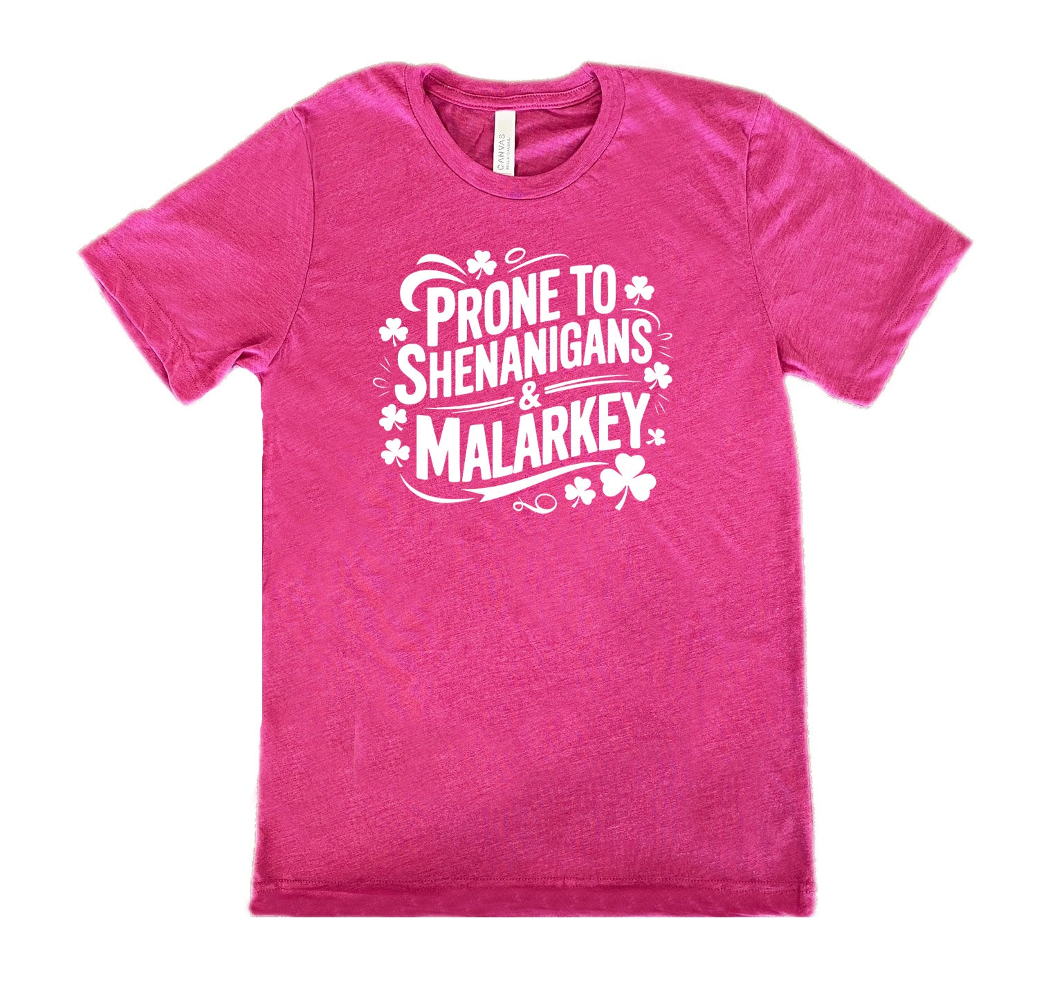 Funny Unisex T-Shirt - Prone To Shenanigans & Malarkey Design - Perfect for Casual Wear, Gifts & Humorous Occasions