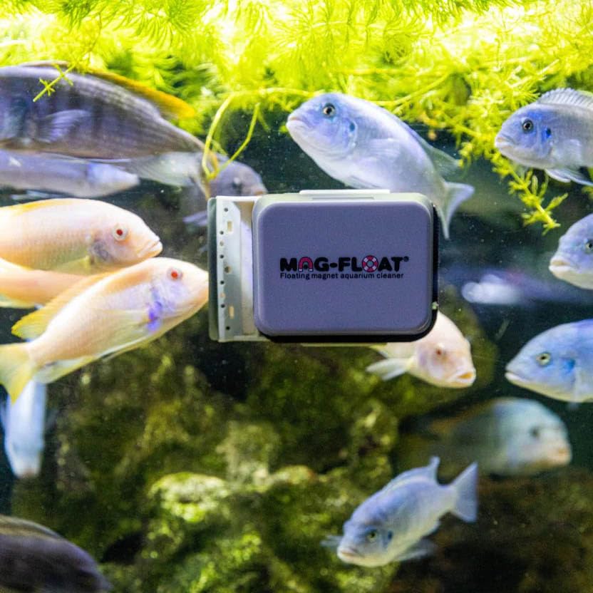 Mini 25 Magnetic Aquarium Cleaner for Glass & Acrylic Fish Tanks | Betta Fish Tank Scrubber Brush | Strong Magnet Cleaning Tool for Freshwater & Saltwater Aquariums | Perfect for Small Tanks, Nano Reefs & Home Aquascaping