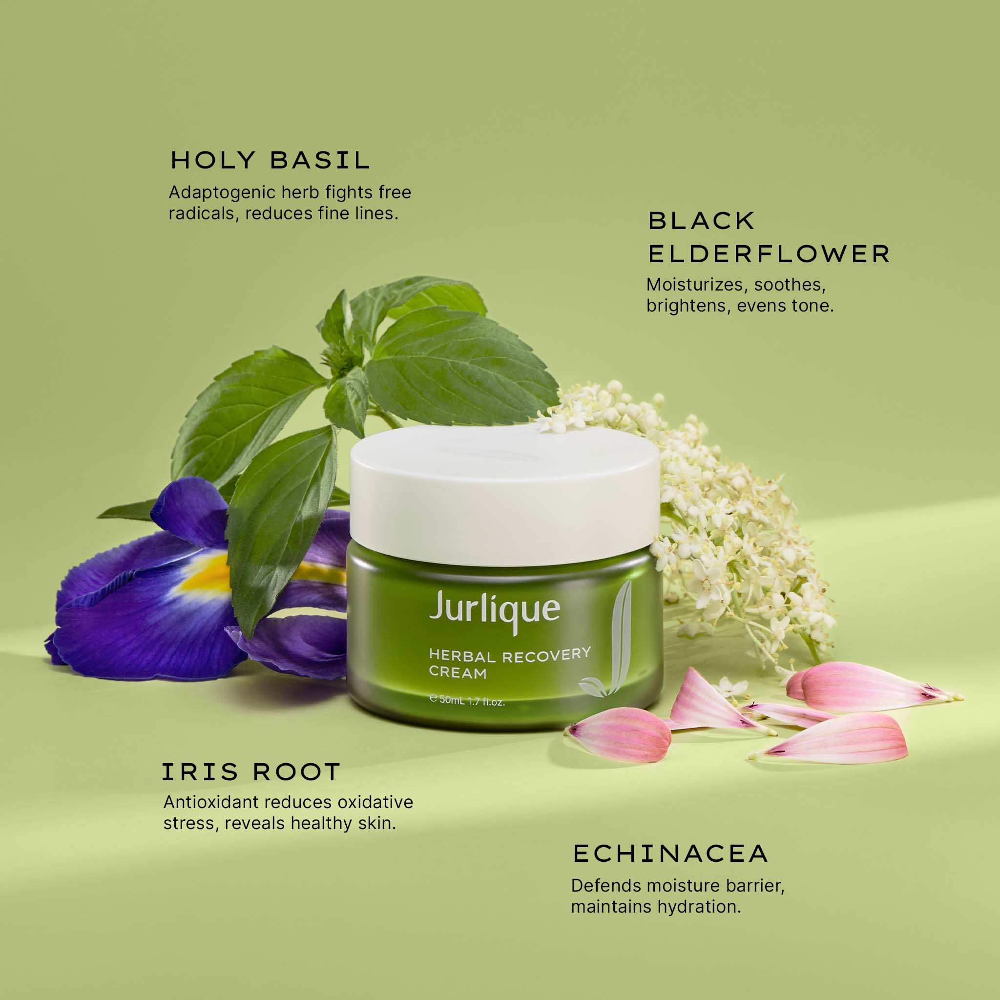 Herbal Recovery Cream - Natural Healing & Soothing Relief for Skin Irritations, Burns & Dryness | Perfect for Post-Treatment Care & Daily Skin Repair