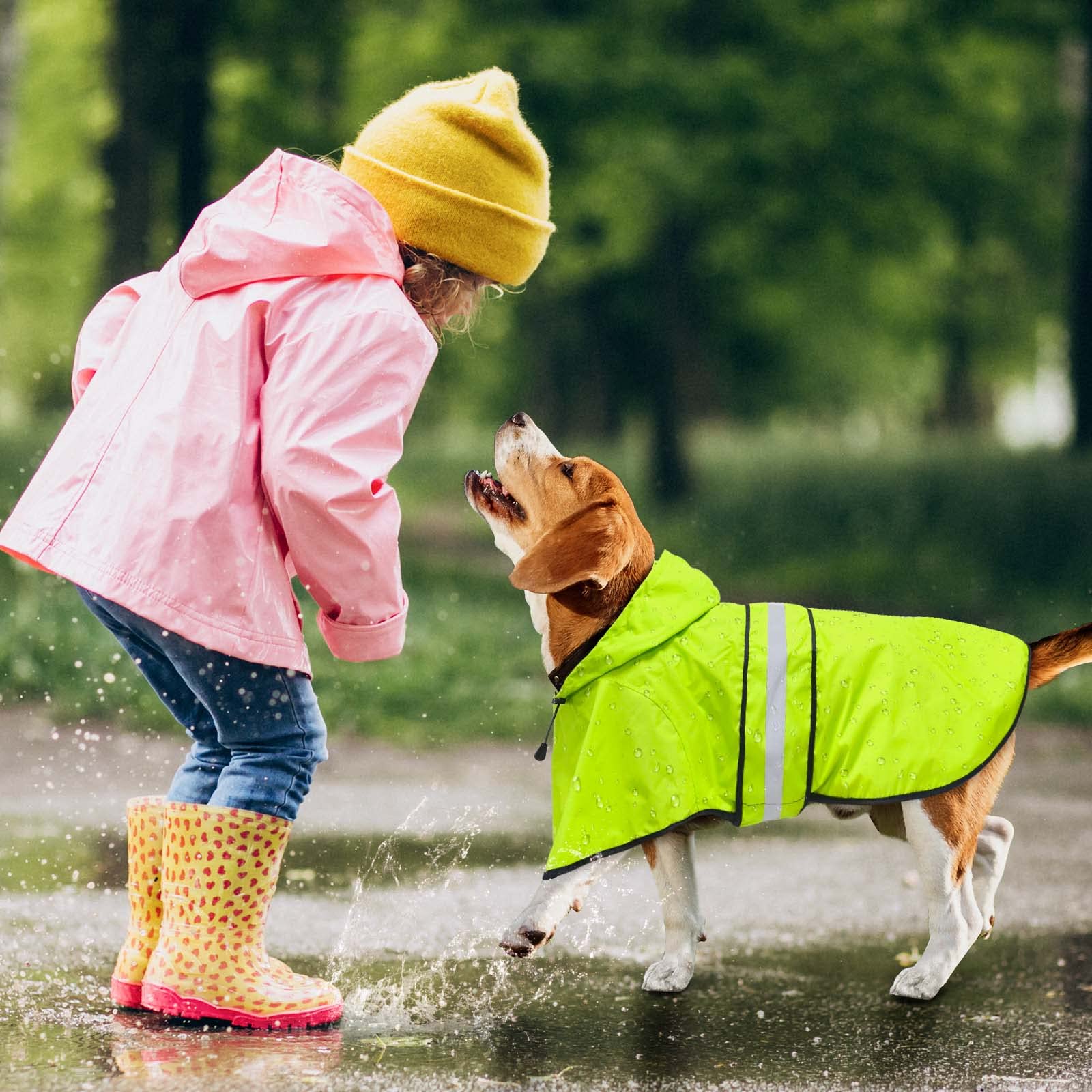 Reflective Dog Raincoat - Waterproof Hooded Jacket for Small to Large Dogs (Green) - Perfect for Outdoor Walks