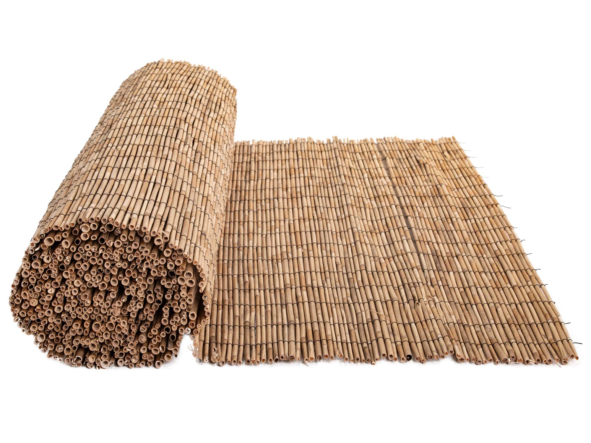 FOREVER BAMBOO Jumbo Reed Privacy Fence - 6ft Tall x 16ft Wide Natural Bamboo Screen for Backyard, Garden & Patio Divider - Tan Finish Outdoor Decorative Fencing for Poolside, Deck & Landscape Privacy