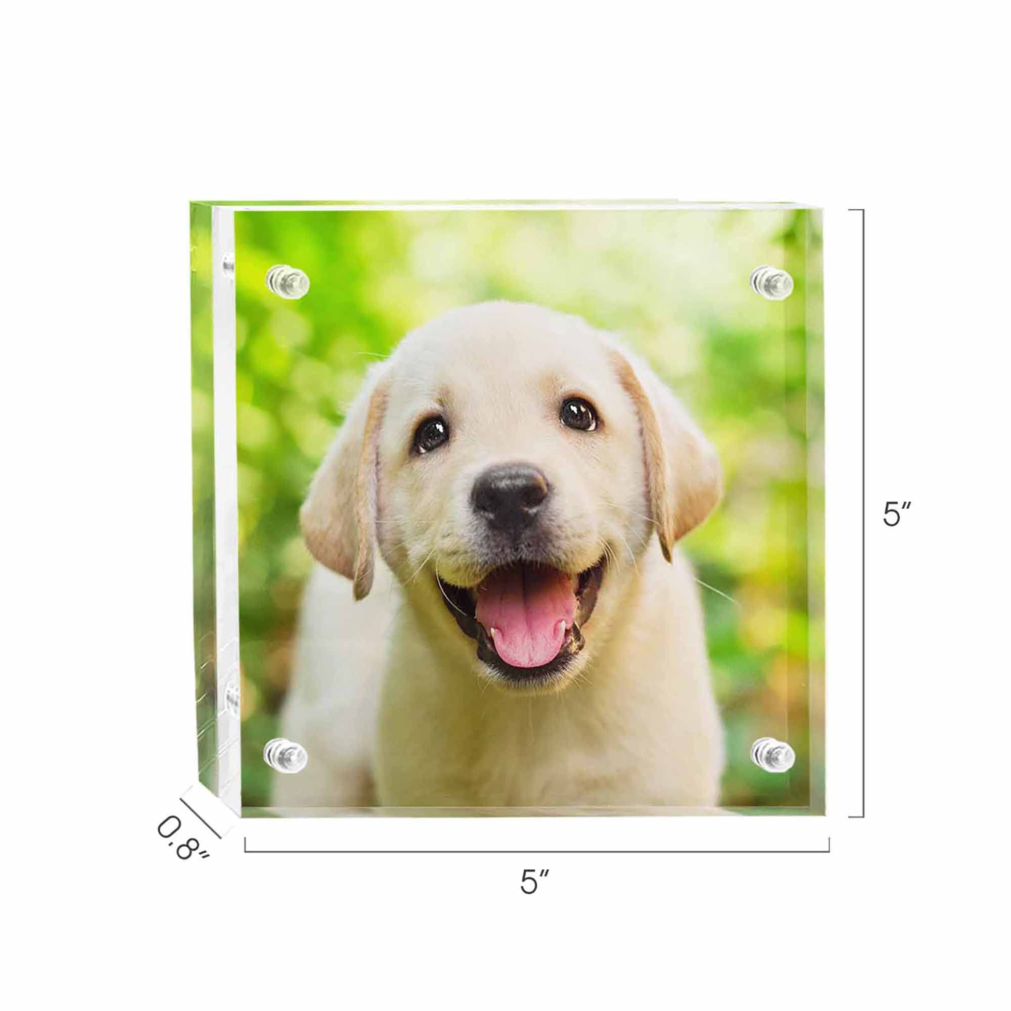 Custom 5x5 Acrylic Photo Frame - Double Sided Magnetic Display for Pets, Gifts