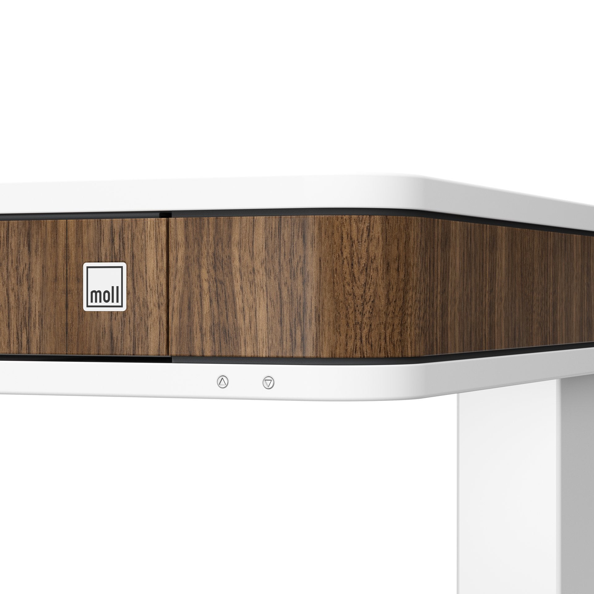 Moll T7 XL Electric Standing Desk - Adjustable Height Office Desk for Home & Workspace, Ergonomic Sit Stand Desk with Quiet Motor - Perfect for Remote Work, Gaming & Study