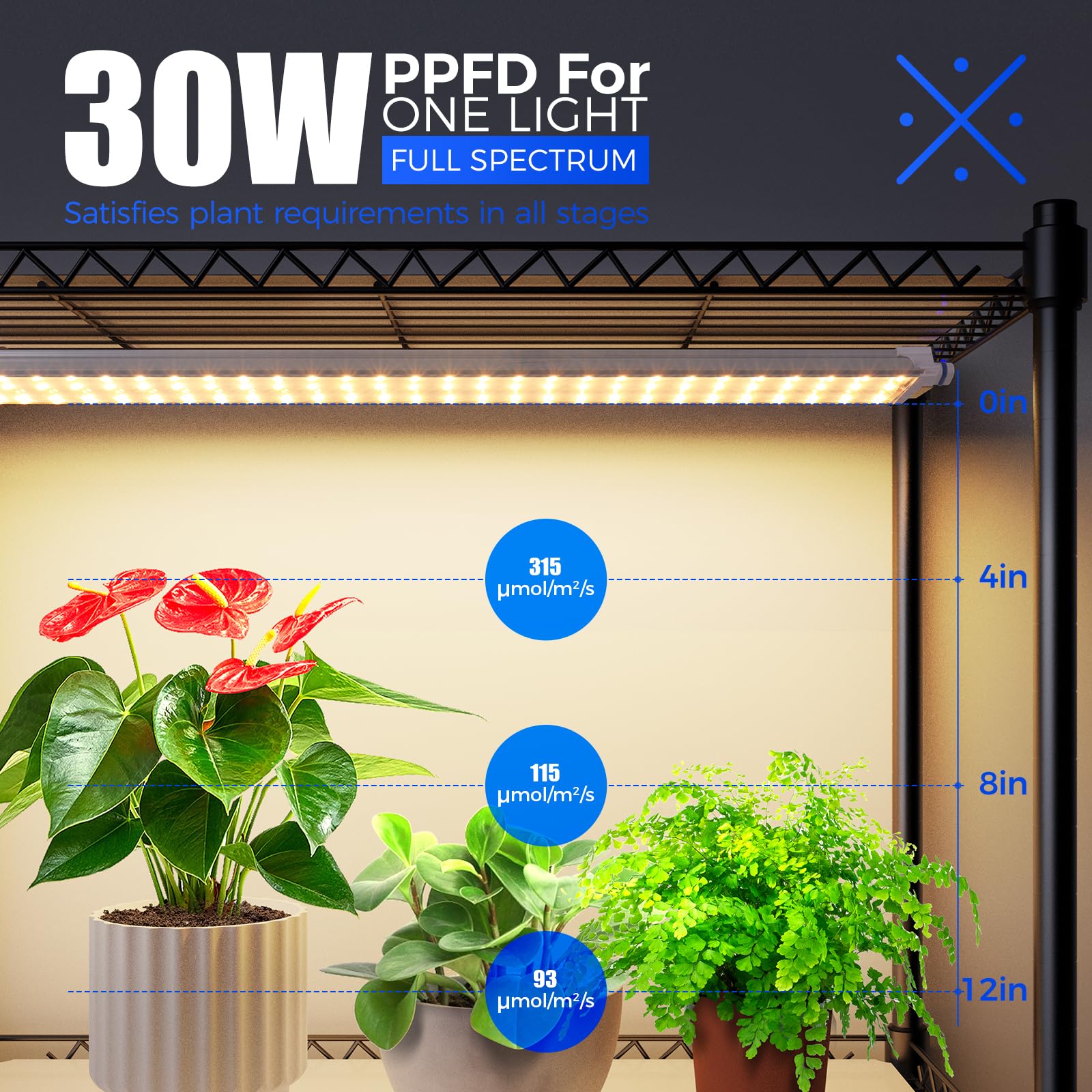 Barrina 6-Tier Metal Plant Stand with Grow Lights - 5Pcs 2FT 30W Full Spectrum LED Plant Lights, 3 Adjustable Spectrum & Timer - Indoor Plant Shelf Display Rack (29.5x13.8x71 Inches) - Perfect for Home Gardening, Living Room Decor, and Indoor Herb Growing