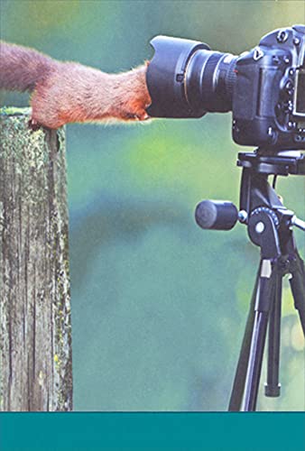 Funny Squirrel Birthday Card - Humorous Recycled Paper Greeting Card with Camera Lens Cover Design - Perfect for Friends, Family & Coworkers (Office Gifts, Birthday Parties)