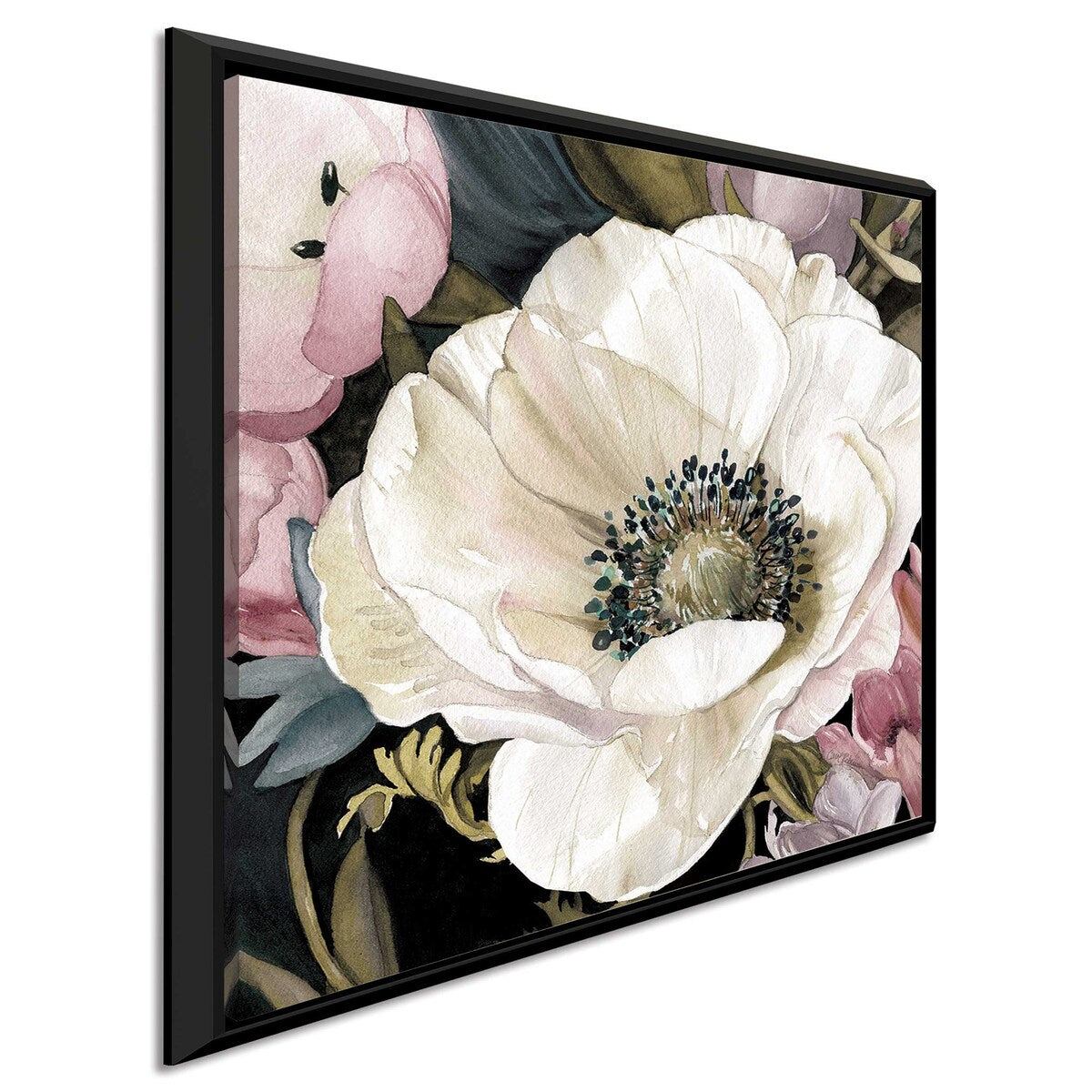 Anemone Study II by Carol Robinson - Premium Floating Canvas Wall Art Print - Perfect for Living Room, Bedroom & Office Decor