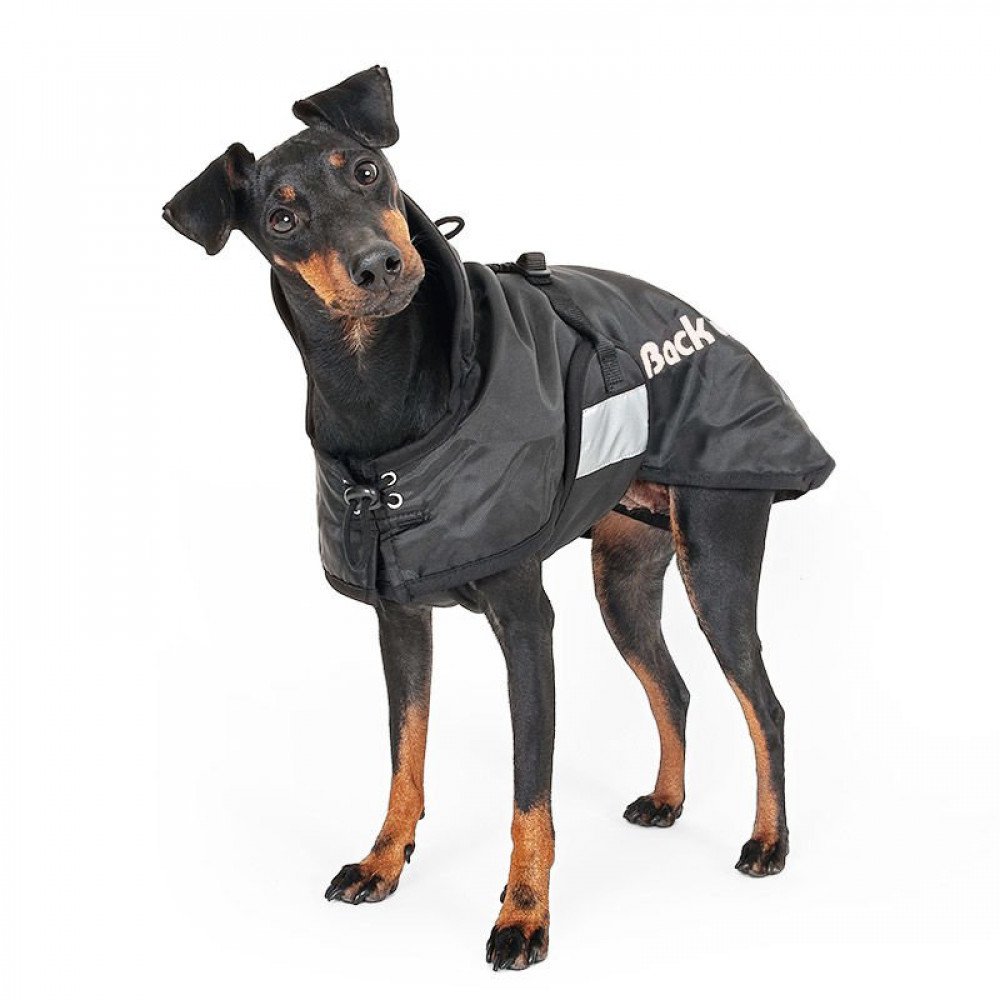 Premium Dog Coat for All Breeds - Waterproof & Warm Winter Jacket for Small, Medium, Large Dogs - Perfect for Outdoor Walks, Hiking & Cold Weather Protection