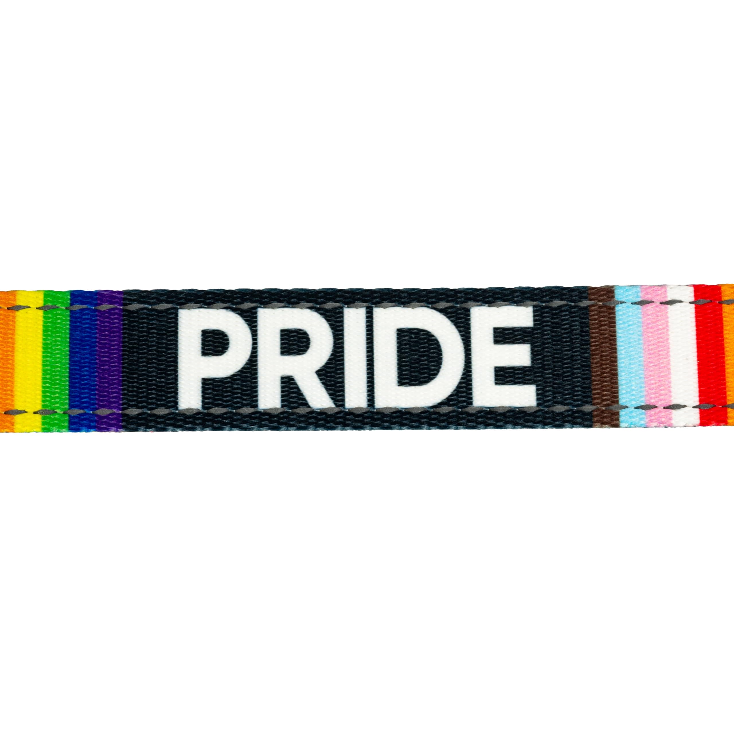 Country Brook Design - Pride Reflective Polyester Webbing for Safety Gear, Dog Collars & Outdoor Equipment | High Visibility Rainbow Stripes for Night Running, Cycling & Pet Accessories