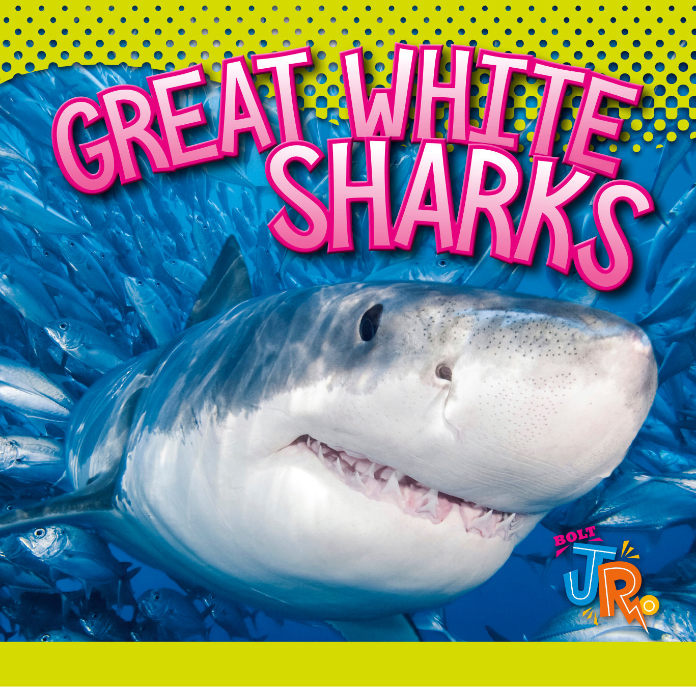 Great White Sharks - Realistic Shark Figurine for Collectors & Ocean Lovers - Perfect for Home Decor, Educational Display & Marine Theme Parties