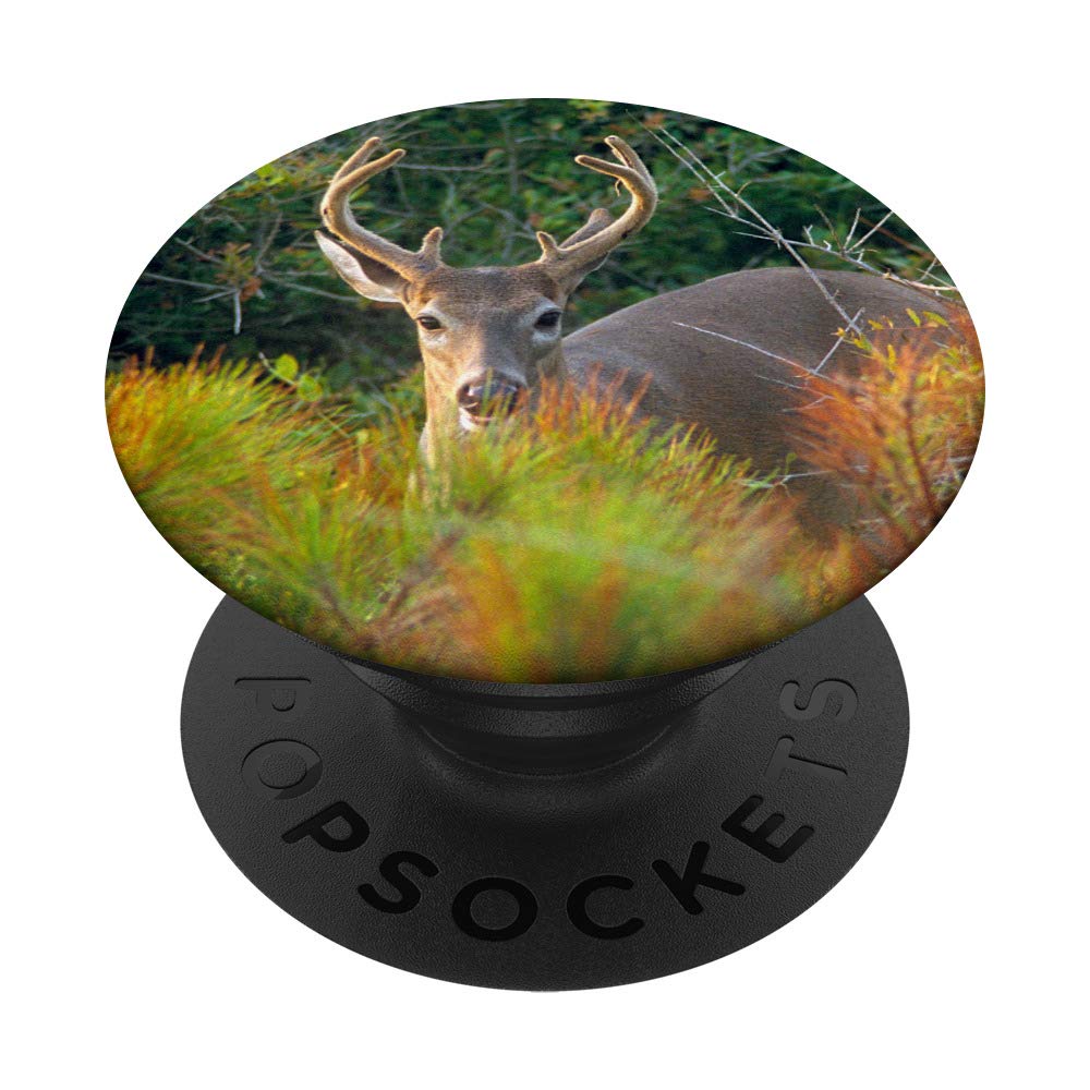 Deer Hunting Gift for Deer Hunters - Deer in Field PopSockets PopGrip | Swappable Phone & Tablet Grip | Perfect for Outdoor Enthusiasts & Hunting Lovers