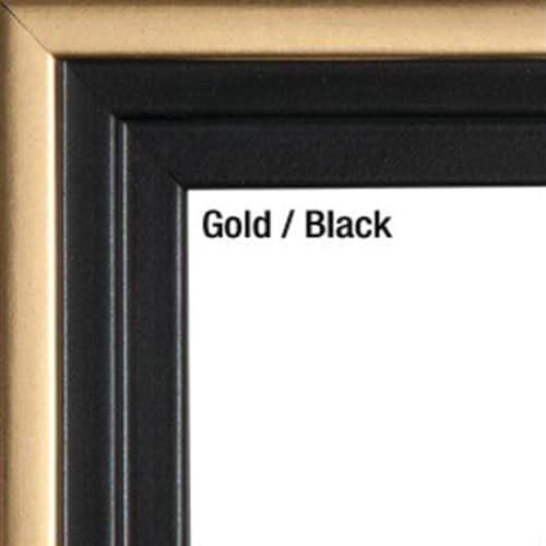 Gold w/ Black Sides