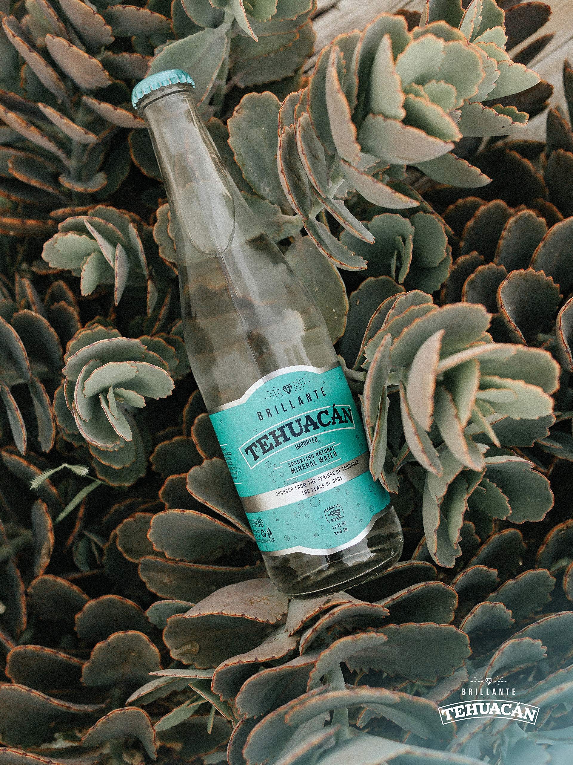 Tehuacán Brillante Sparkling Mineral Water – Naturally Carbonated by Volcanic Rock | Zero Calories, No Sugar, Unflavored | Perfect for Cocktails, Mocktails & Healthy Hydration (12 Pack, 12oz Bottles)