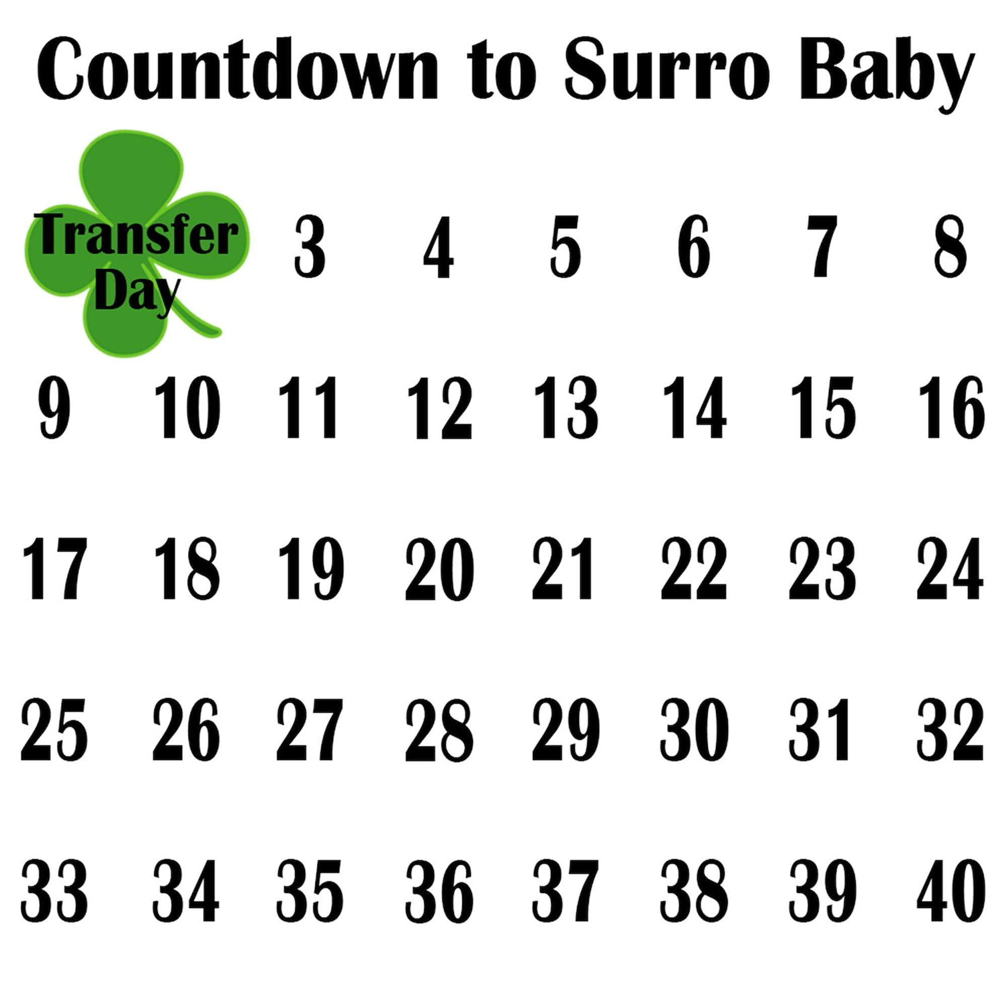 Countdown to Surro Baby Maternity T-Shirt - Women's Ruched Side Pregnancy Shirt for Comfort & Style | Perfect for Baby Showers, Maternity Photos & Pregnancy Announcements