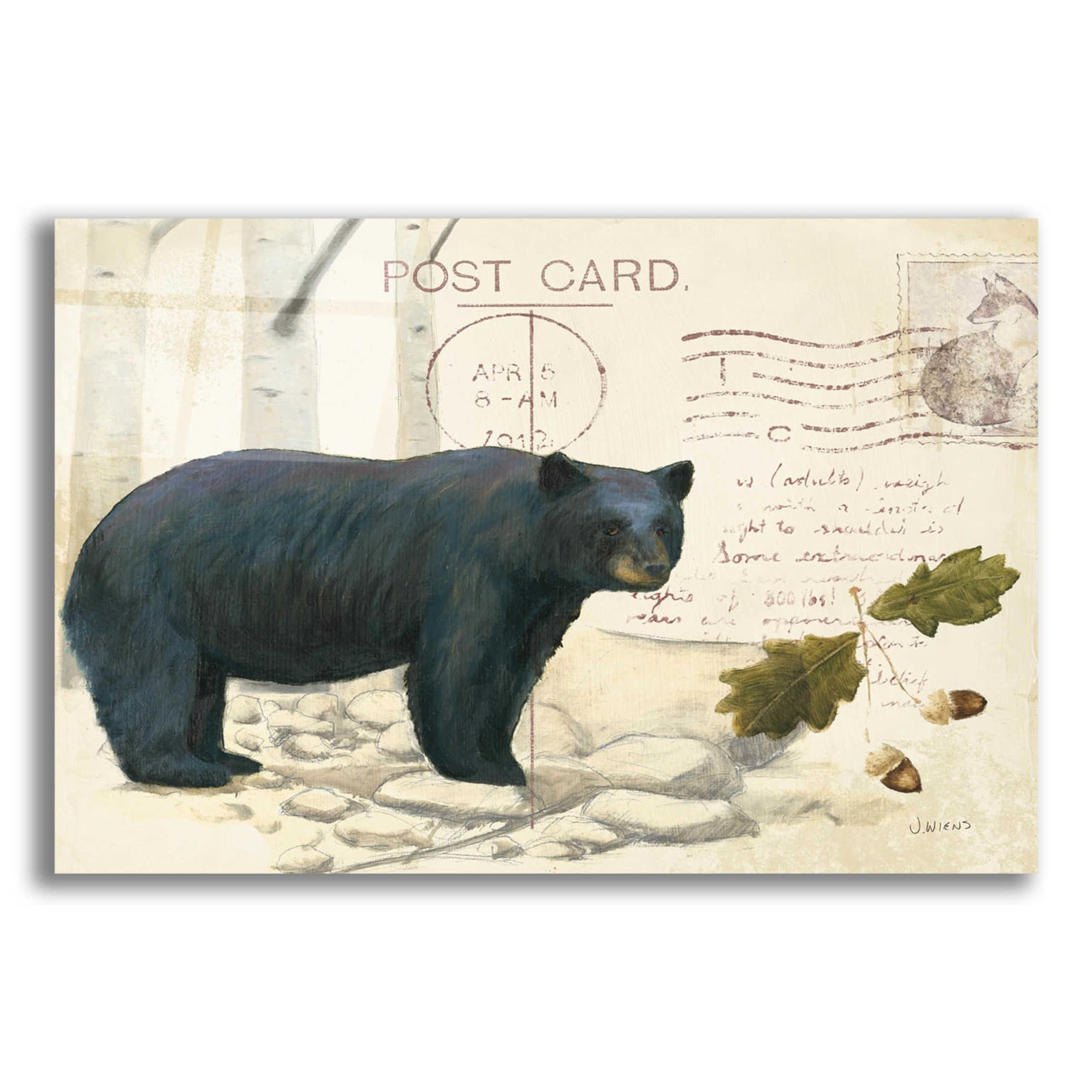 Northern Wild Bear Acrylic Glass Wall Art by James Wiens - 24x16 Inches Modern Wildlife Painting for Living Room, Office & Cabin Decor