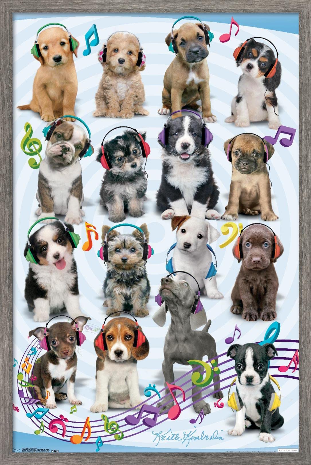 Trends International Keith Kimberlin Puppies Headphones Wall Poster - 14.725 x 22.375 Inches, Barnwood Framed Art Print - Perfect for Bedroom, Living Room, and Office Decor