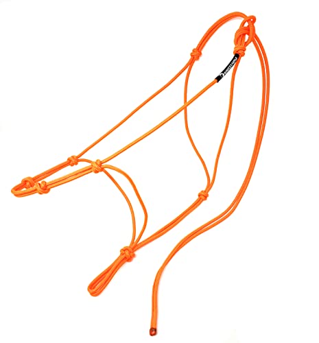 Neon Orange