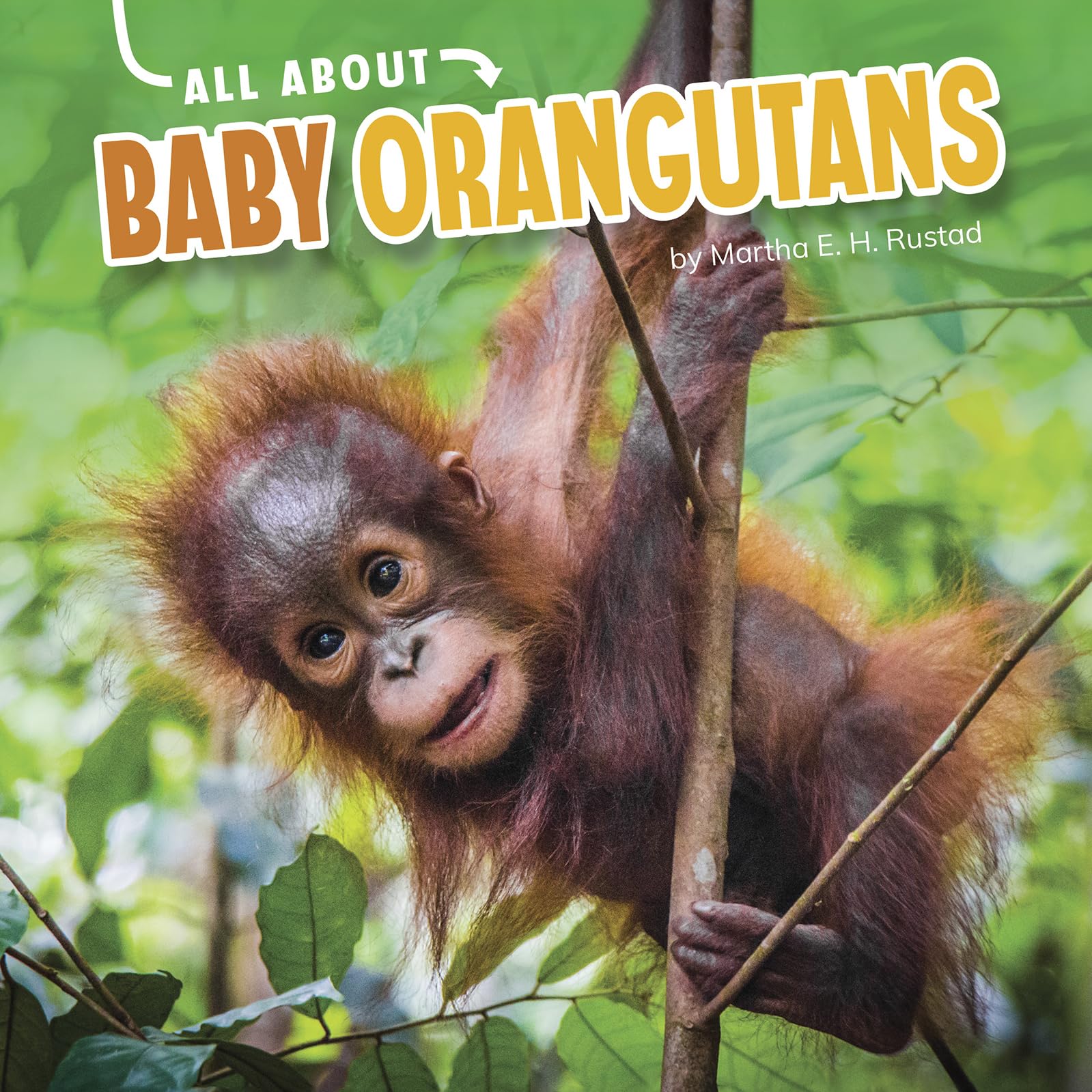 All About Baby Orangutans - Fun Facts & Care Guide for Pet Lovers & Wildlife Enthusiasts | Perfect for Animal Education & Conservation Awareness
