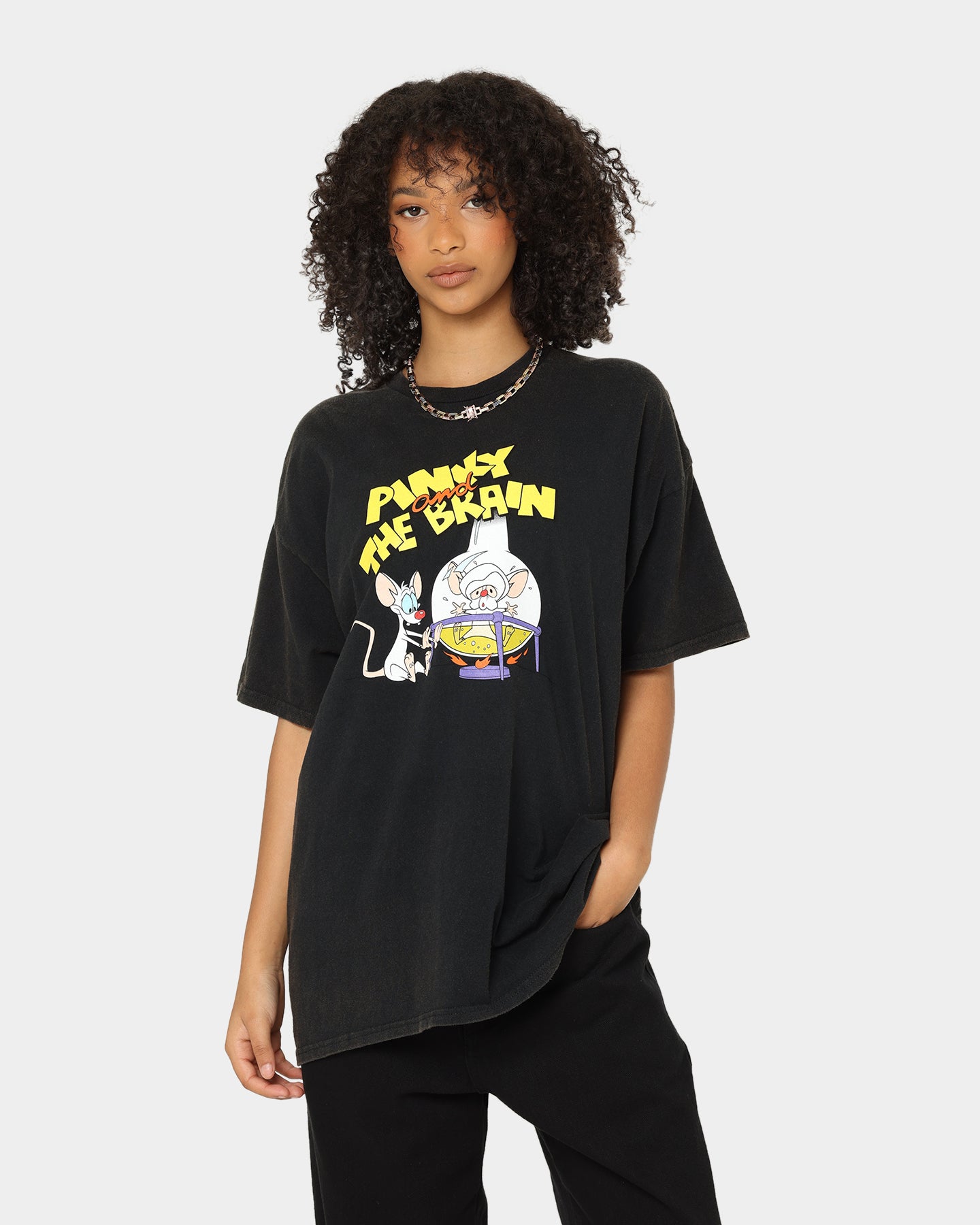 Vintage Pinky And The Brain T-Shirt - Black Wash - American Thrift - Cartoon Graphic Tee for Fans & Collectors - Perfect for Casual Wear, Cosplay, and Gift Giving