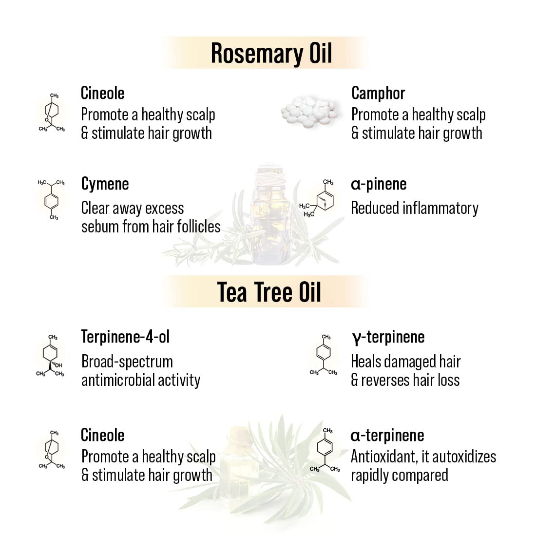 Keya Seth Aromatherapy Alopex Long N Strong Hair Oil with Rosemary & Tea Tree Oil - 100ml Natural Hair Growth Treatment for Thinning Hair, Reduces Hair Fall & Nourishes Scalp - Perfect for Daily Hair Care & Styling Routine