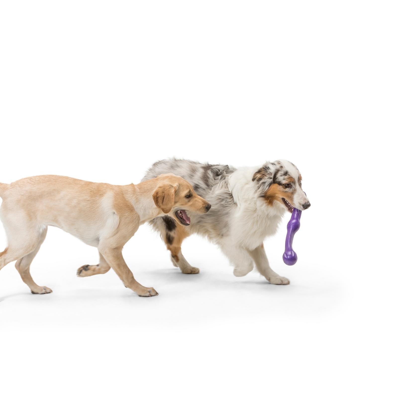 ZWIG by West Paw® Green Soft Chew Dog Toy - Durable & Non-Toxic for Puppies & Adult Dogs - Perfect for Fetch, Chewing & Interactive Playtime