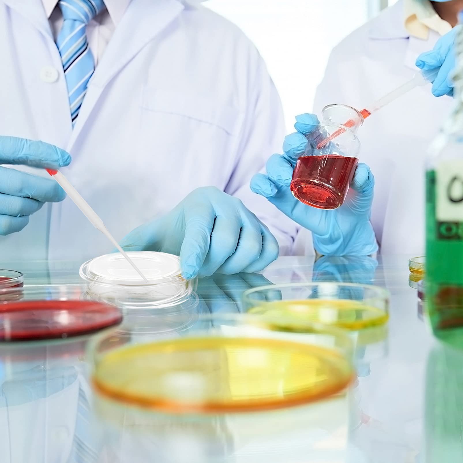 6pcs Petri Dish Set with Pipette for Lab Culture & Experiments
