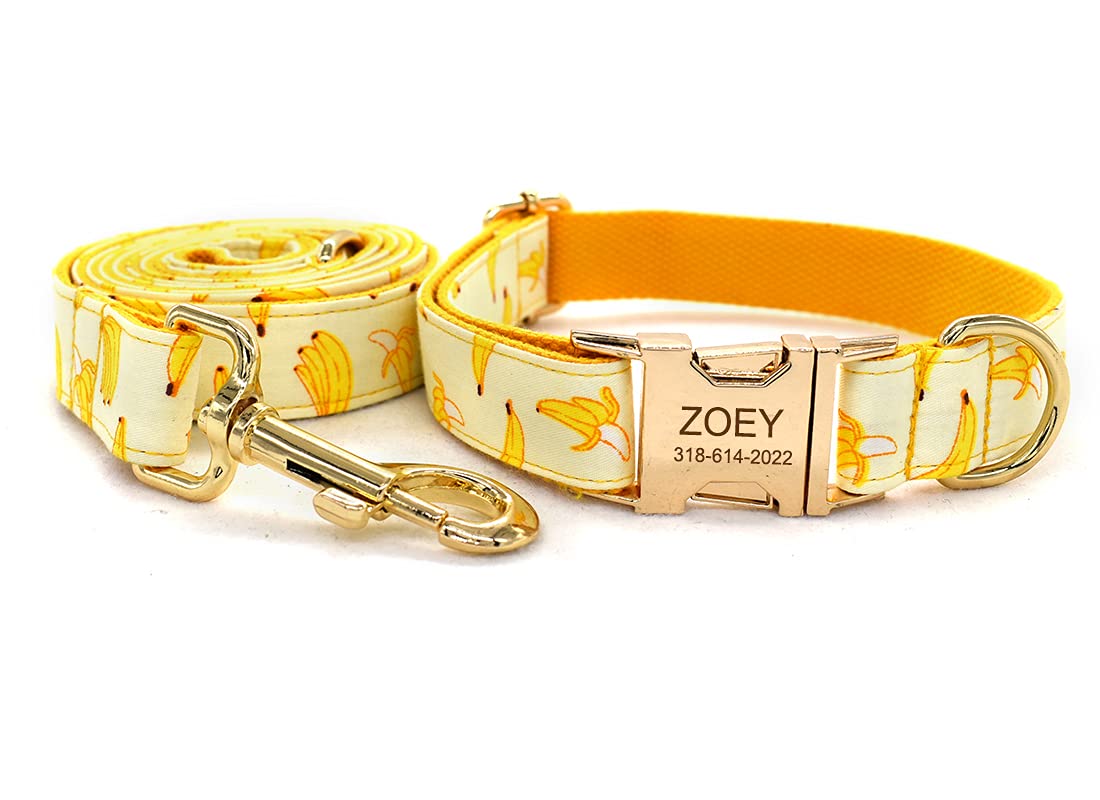 Personalized Dog Collar with Name & Phone - Small to Large Pets for Daily Walks & ID Safety