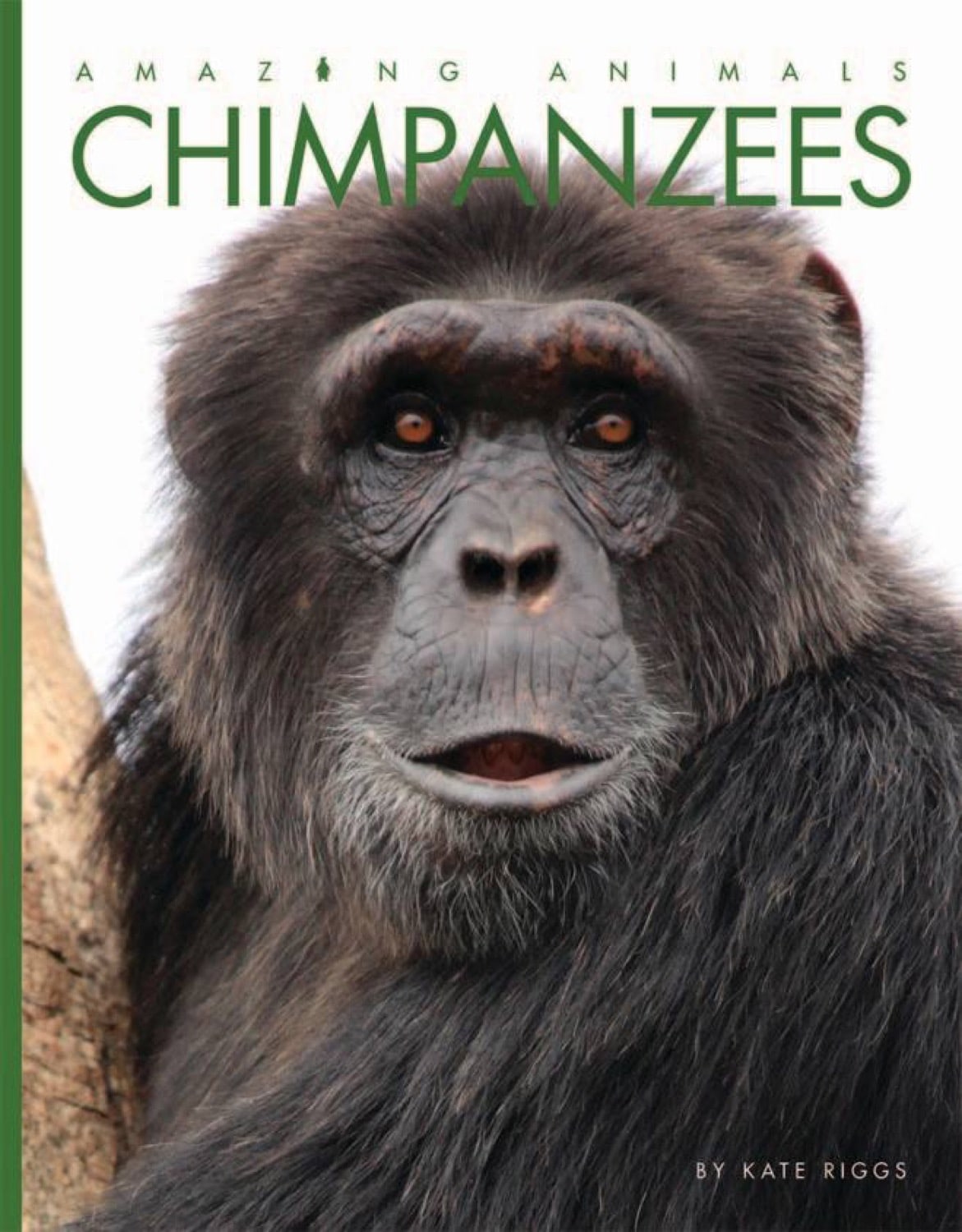 Amazing Animals (2014): Chimpanzees Documentary - Wildlife Film for Nature Lovers & Educational Use in Classrooms