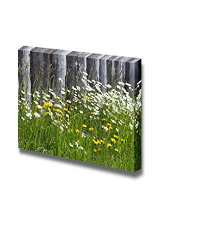Wild Flowers