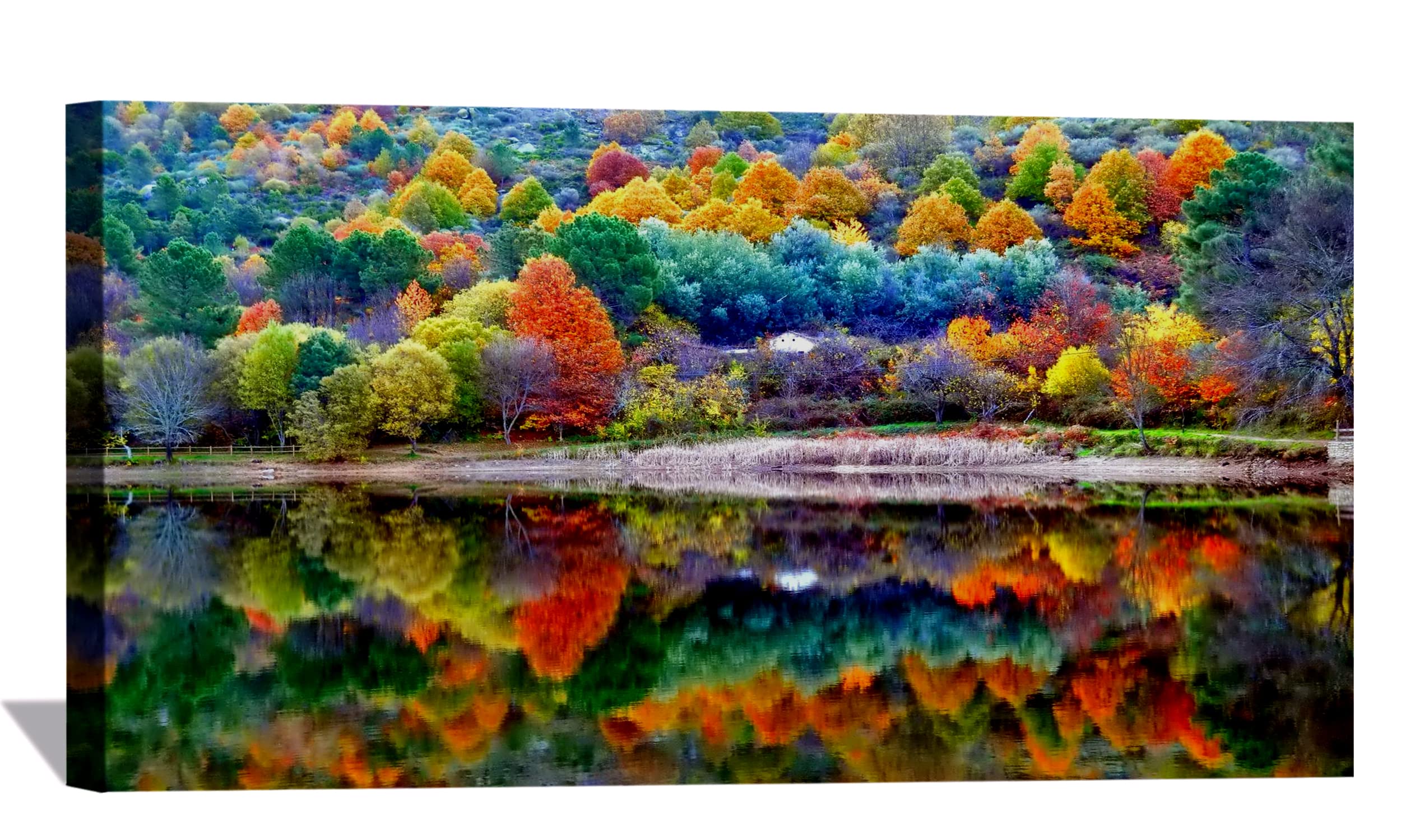 Vibrant Autumn Scenery Canvas Wall Art - Framed Fall Landscape Painting for Living Room, Office & Bedroom Decor - Ready to Hang - Perfect for Seasonal Home Styling and Cozy Interior Design