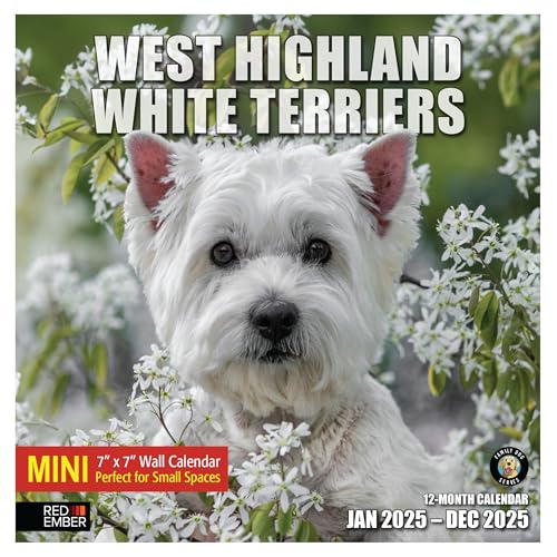 11A - West Highland White Terriers