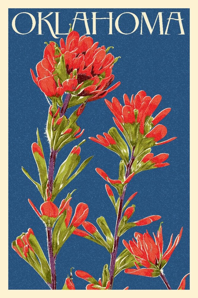 Oklahoma Indian Paintbrush Letterpress Art - 16x24 Gallery Quality Metal Wall Decor, Aluminum Print for Home & Office - Perfect for Western, Native American & Rustic Interior Design