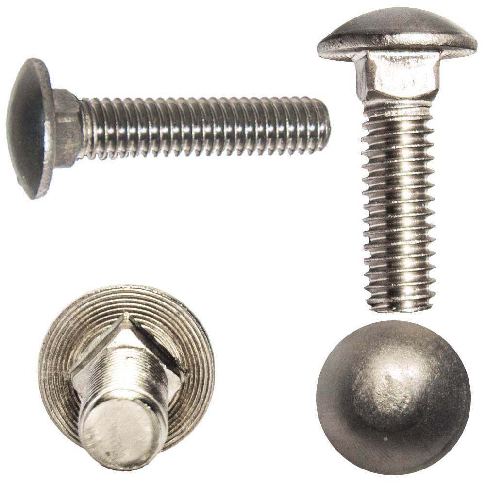 1/4-20 x 4 Stainless Steel Carriage Bolts - 10 Pack for Furniture & Construction