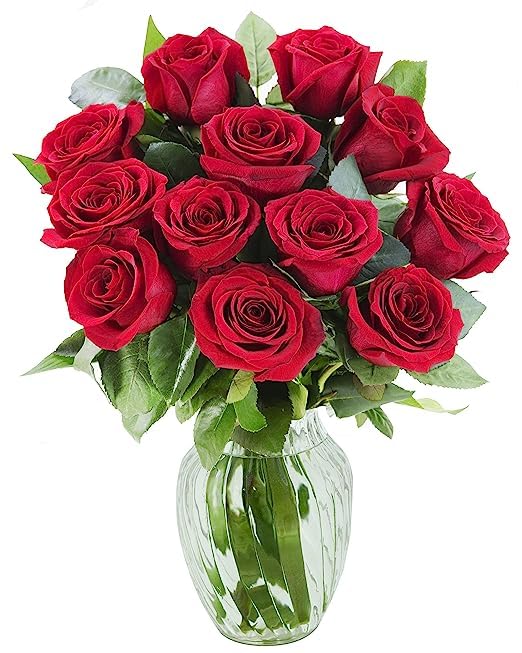 Valentine Red