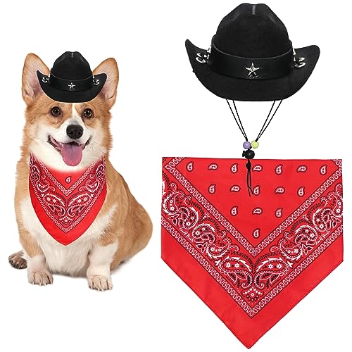 Black Hat & Red Bandana