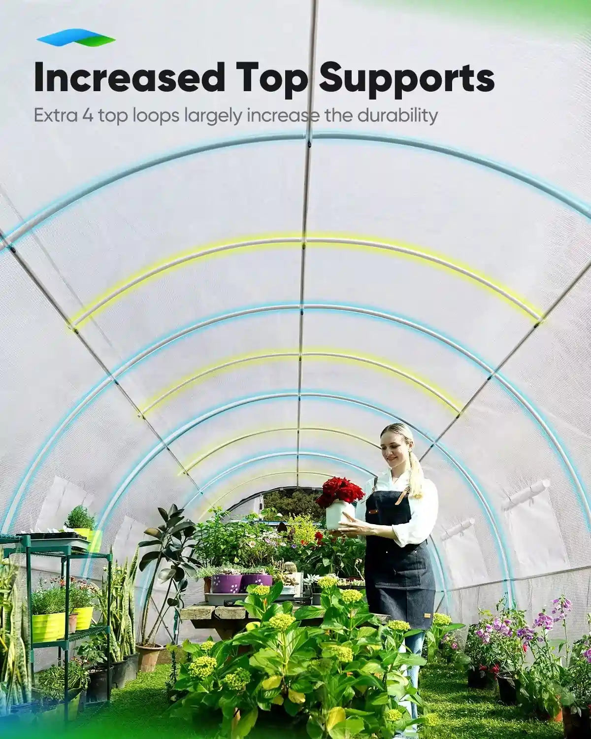 25' x 10' x 6.6' Large Walk-in Greenhouse with Upgraded Frame - Perfect for Backyard Gardening, Plant Growing & Outdoor Storage