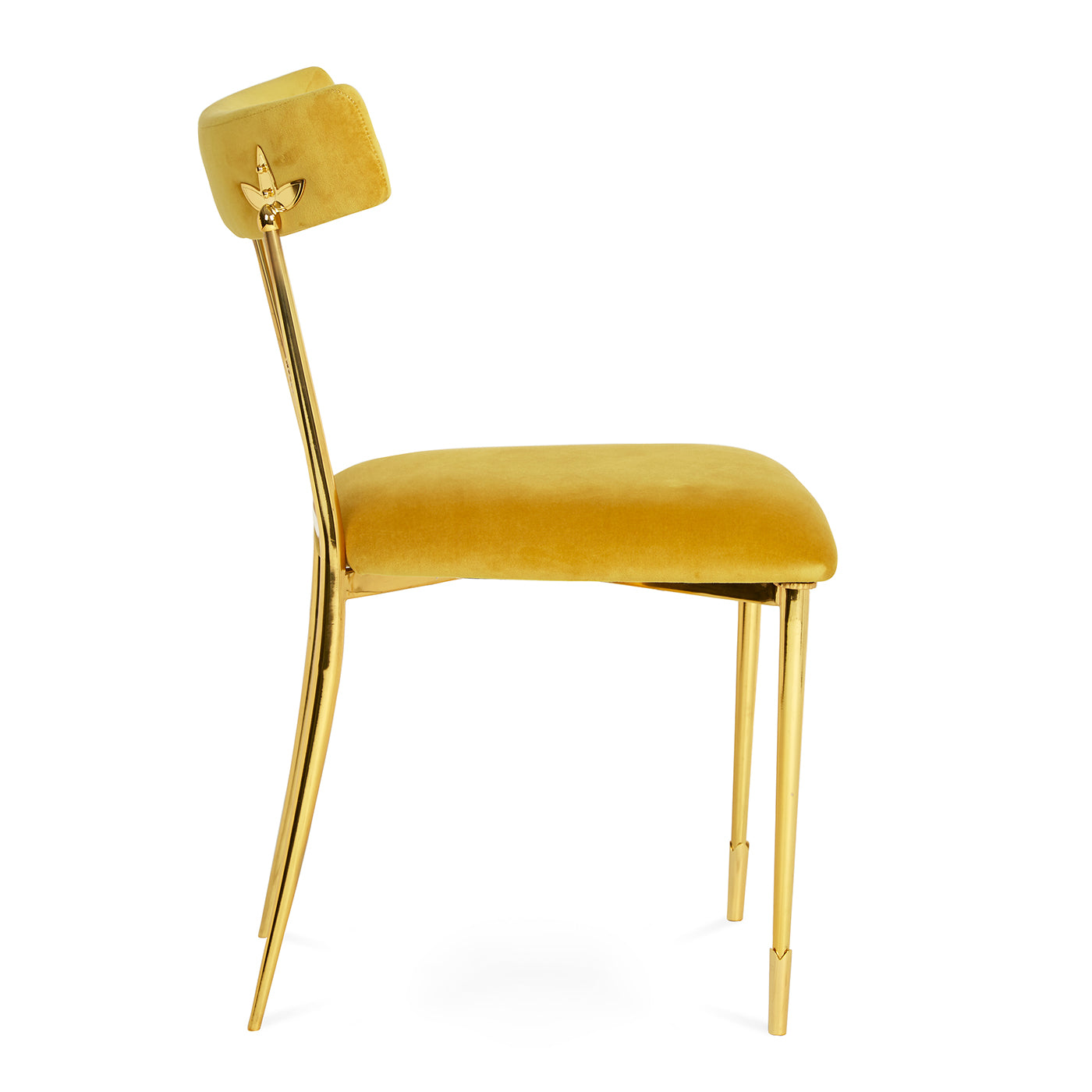 Stylish Rider Dining Chair - Modern Wooden Kitchen Chair with Cushion - Perfect for Home, Restaurant, and Office Use