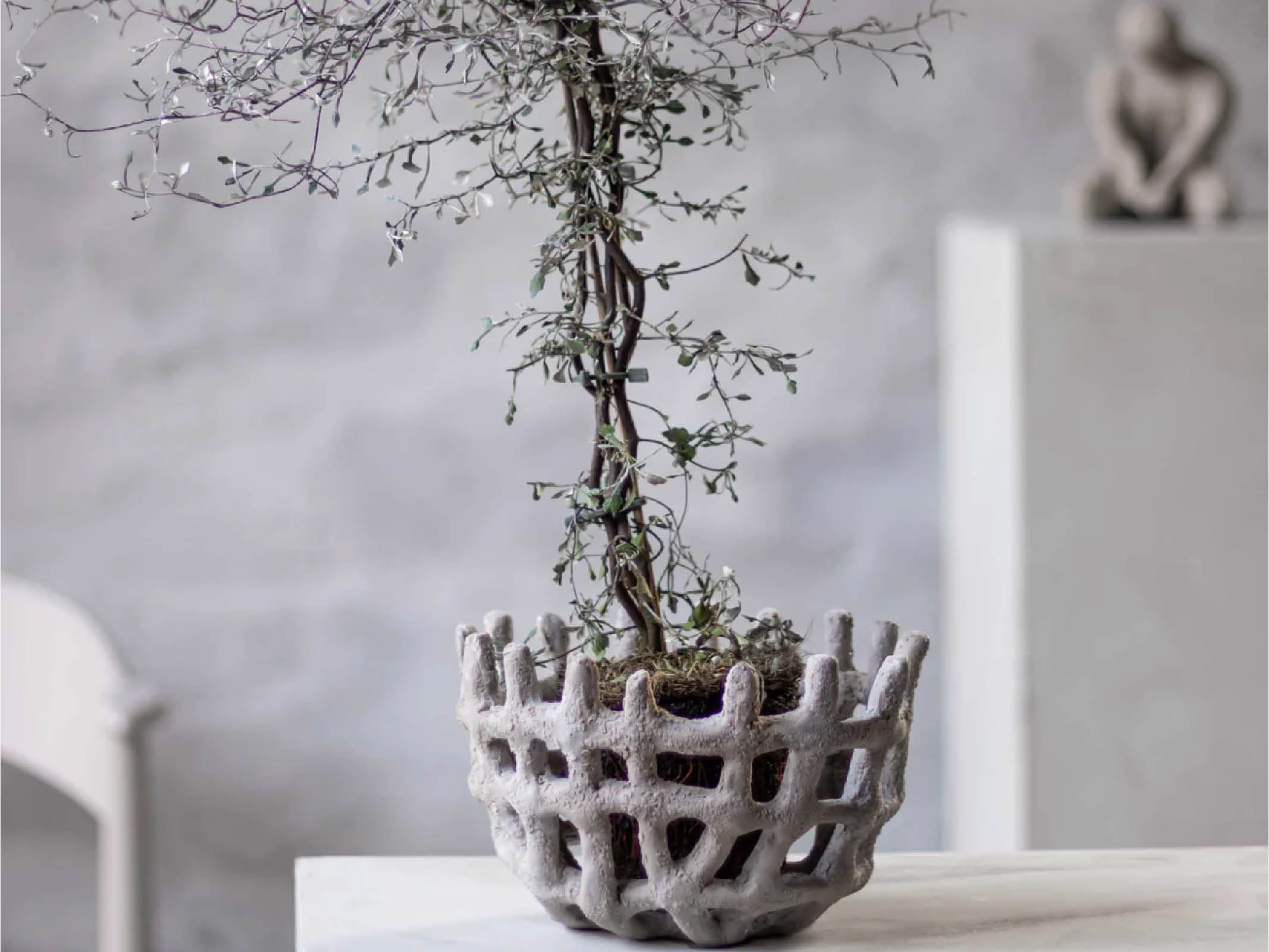 Braided Decorative Bowl - Handwoven Rattan Fruit & Bread Serving Basket for Kitchen, Dining Table, or Centerpiece | Perfect for Home Decor, Parties, and Gift Giving