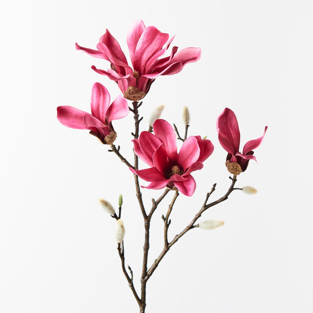 Magnolia Scented Room Spray - Floral Fragrance for Home & Office | Freshen Air with Luxurious Fuschia Aroma | Perfect for Bedroom, Bathroom & Living Spaces