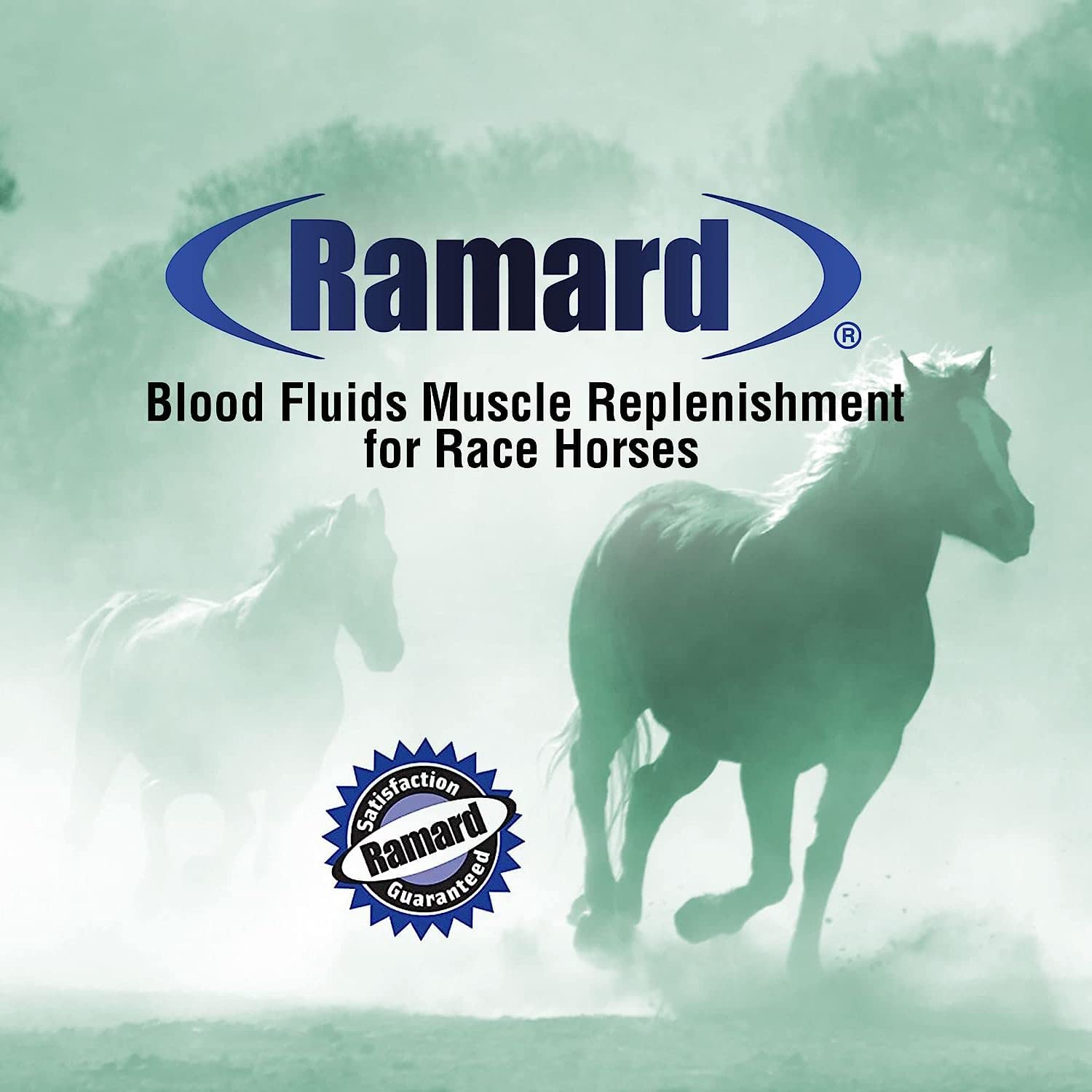 Premium Horse Electrolyte Supplement - Blood Fluids & Muscle Replenishment Powder for Race Horses | Electrolytes, Blood Builder & Muscle Recovery Formula | High Performance Supplement for Horse Racing, Training & Competition | 11.9 lbs Tub