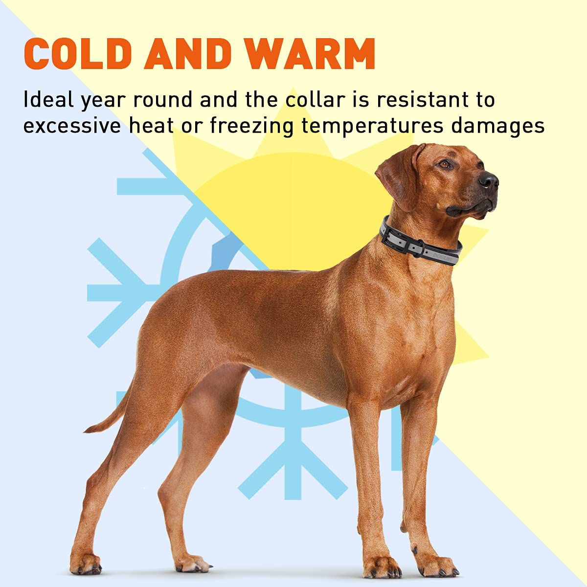Premium Biothane Reflective Dog Collar - Waterproof, Odor-Proof & Easy-Clean - Strong Coated Nylon Webbing with Durable Black Hardware - Adjustable 22