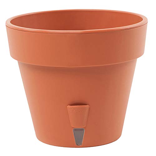 Terracotta