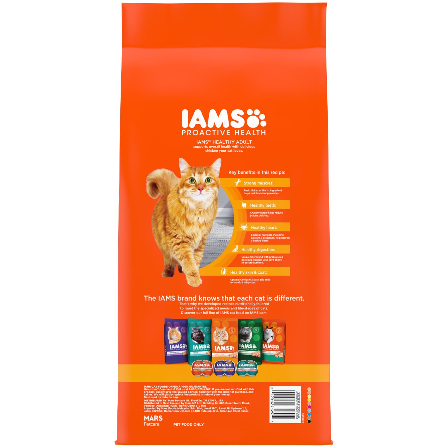 IAMS Proactive Health Healthy Adult Dry Cat Food with Chicken - 7 lb Bag | High Protein Cat Kibble for Indoor & Outdoor Cats | Supports Immune System & Digestive Health