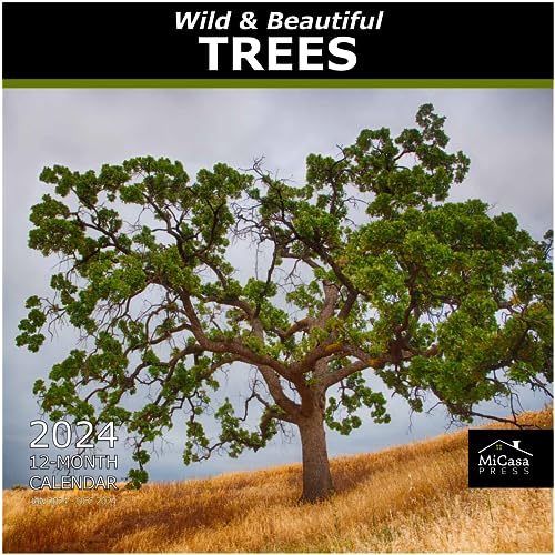 10 - Wild & Beautiful Trees